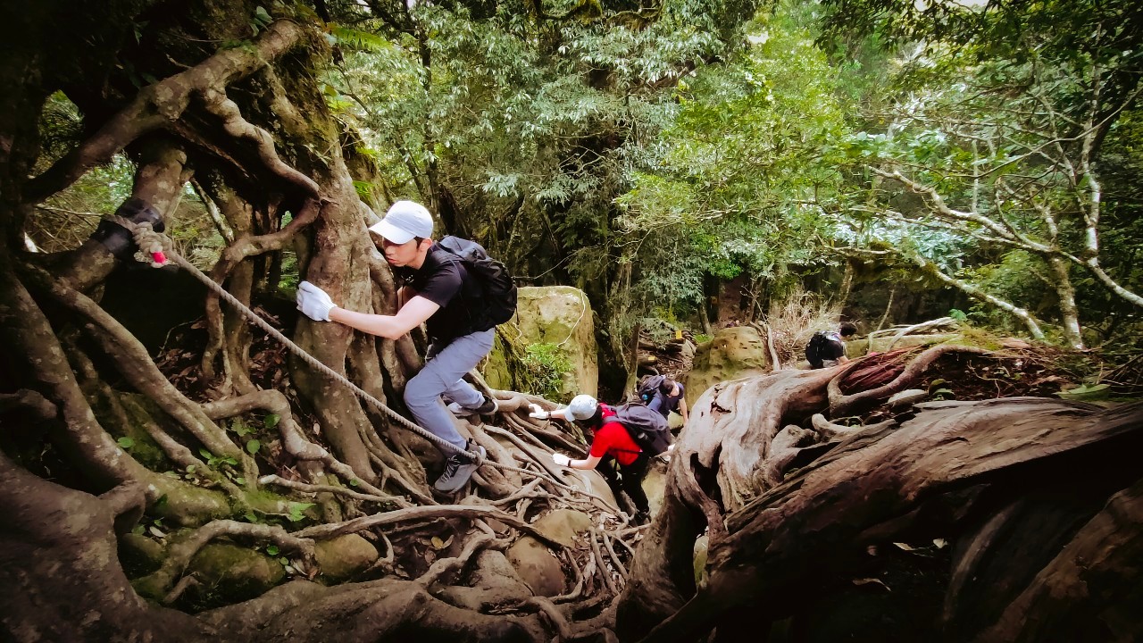 台灣富士山【加里山】｜一天