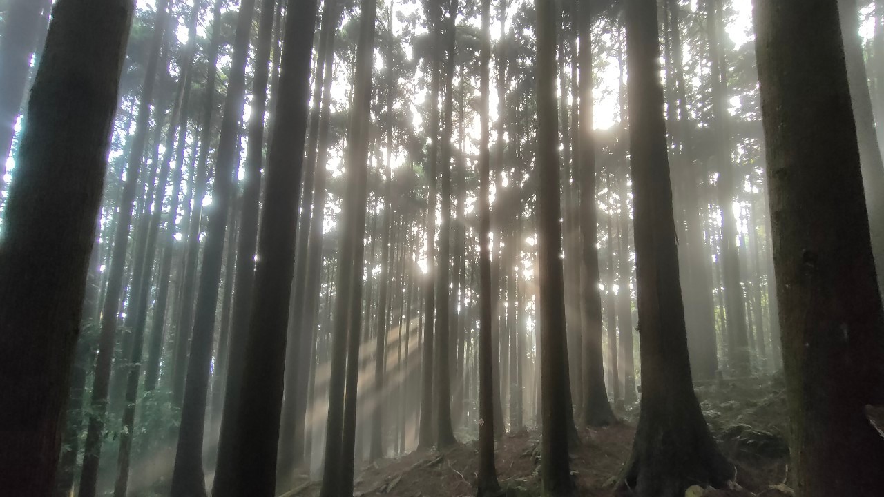 台灣富士山【加里山】｜一天